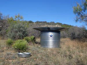 wildlife-waterer2
